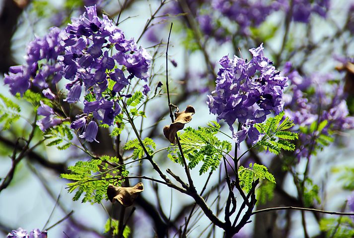 Early years: City to country