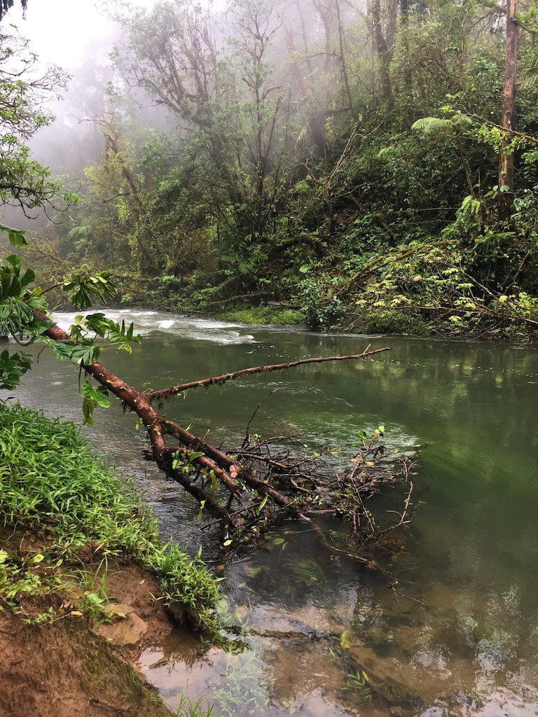 Costa Rica: the tropical experience