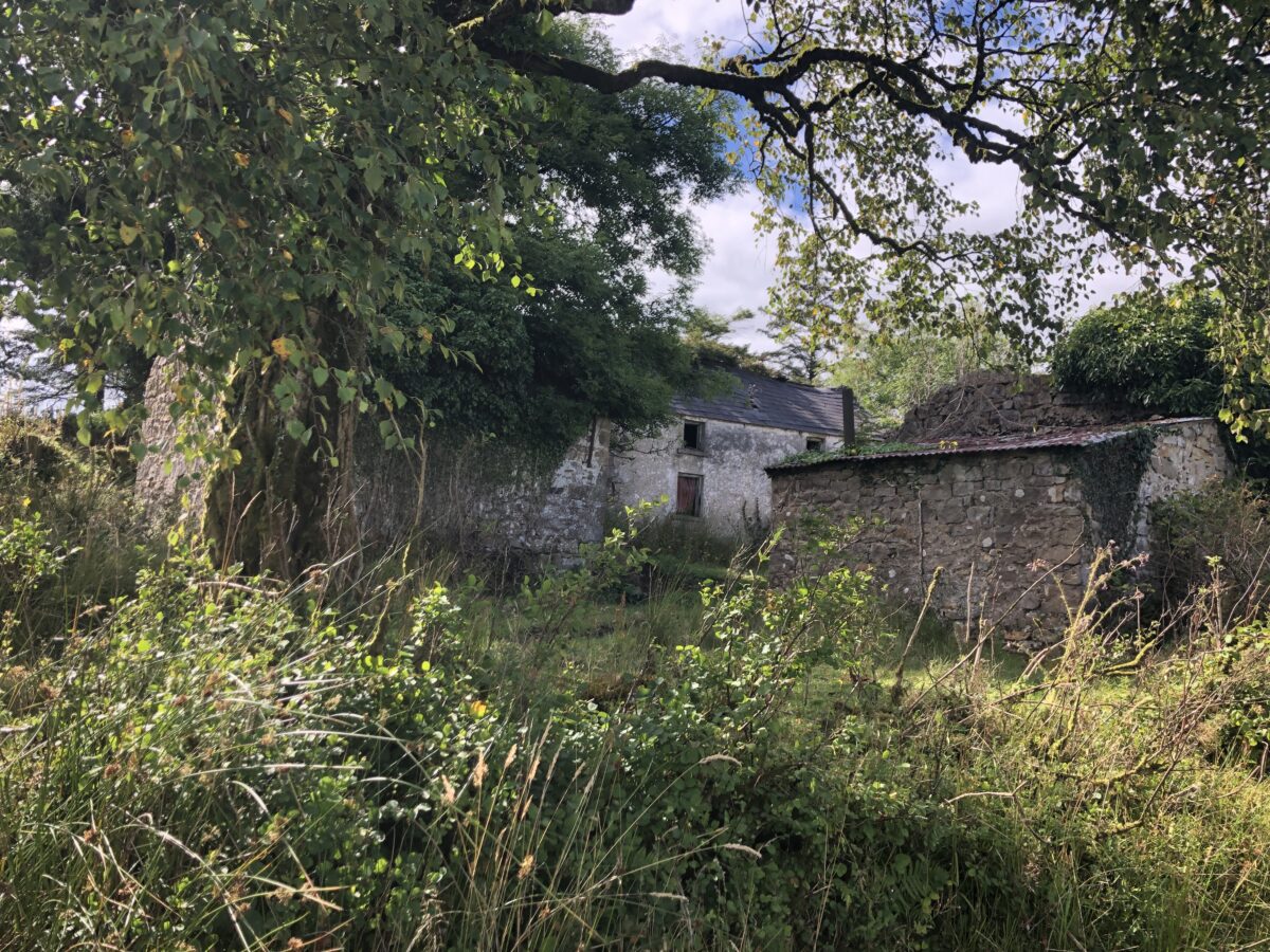 McCaffreys in Clogher