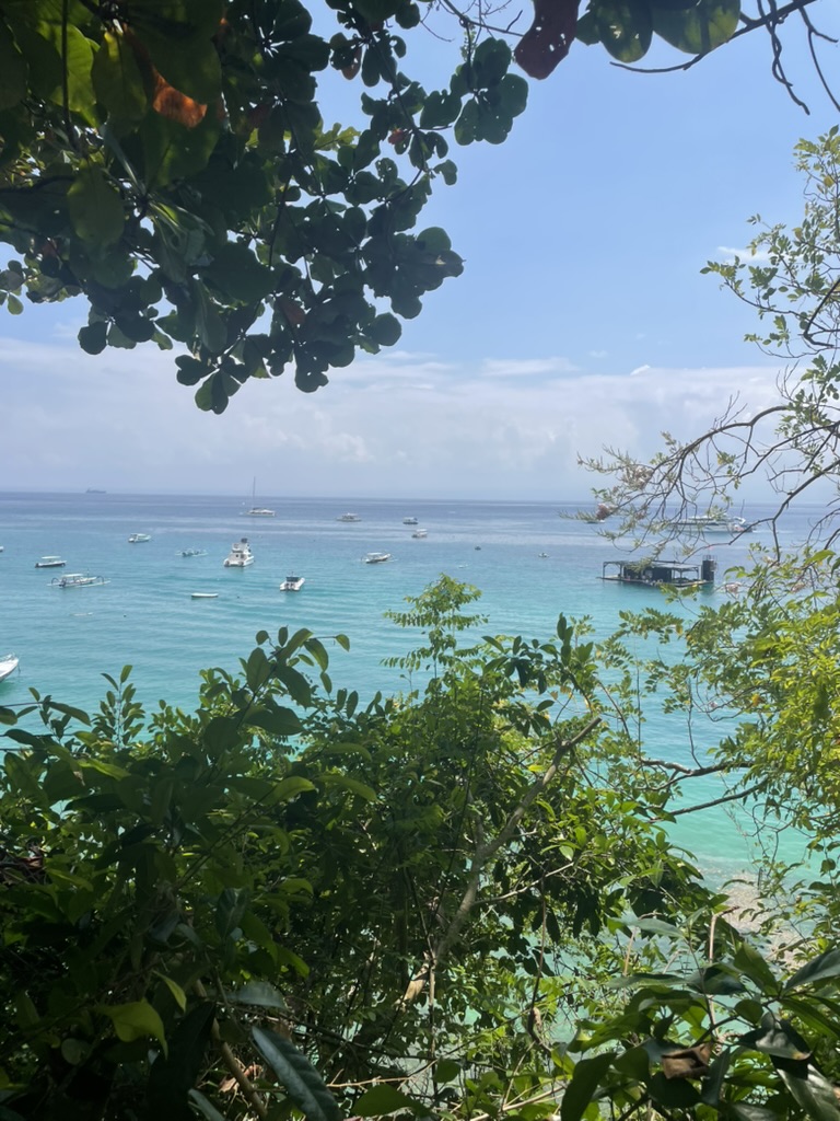 A Refreshing Bali Experience: Nusa Lembongan Awaits