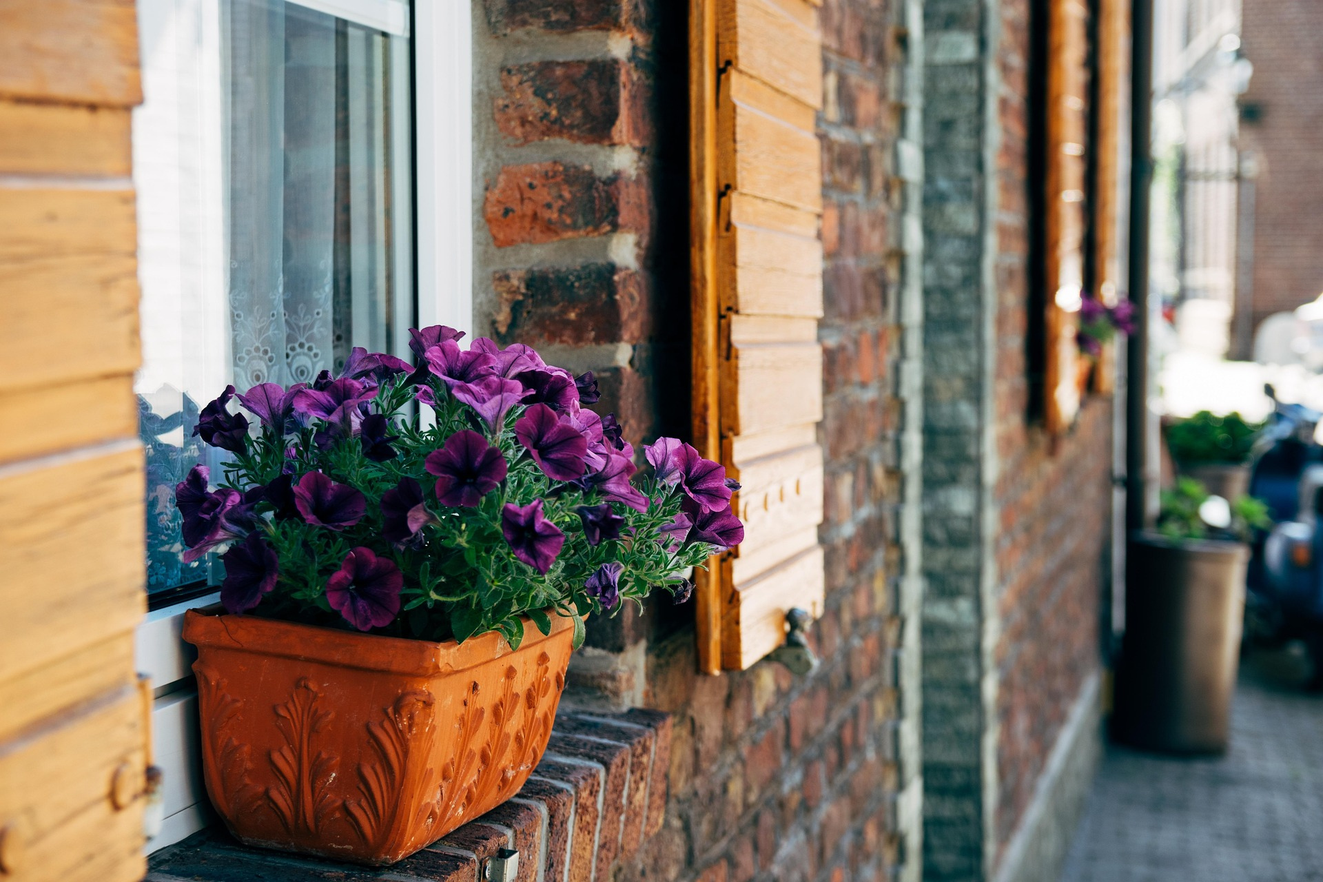 Boarding School And The Empty Nest: A Mother’s Grief